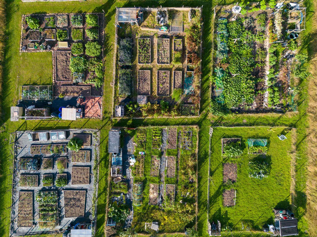 From Wards to Fields: Reconnecting Food, Land and Healing in Healthcare