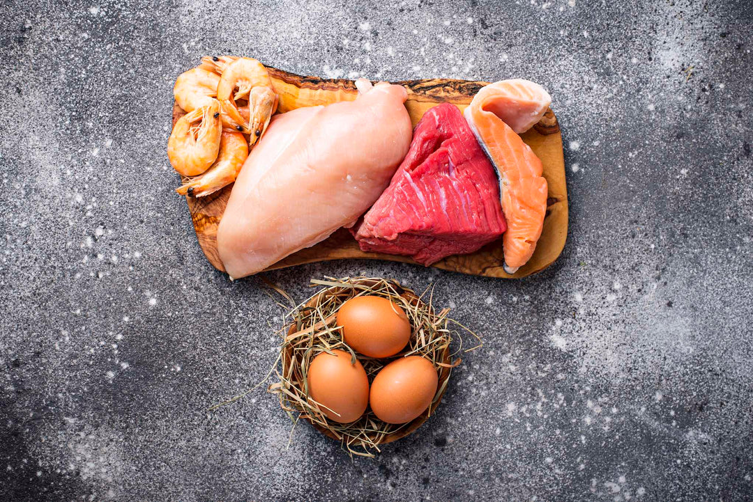 Understanding Your Individual Protein Requirements