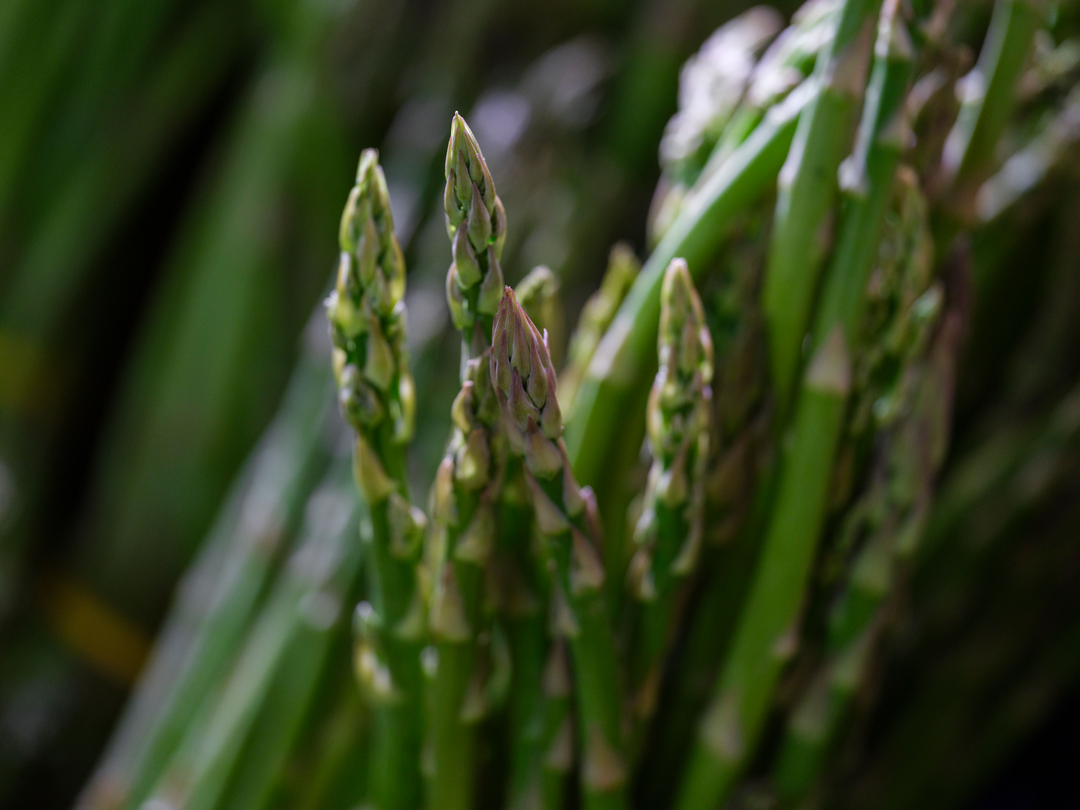 Vegetable in Focus: Asparagus