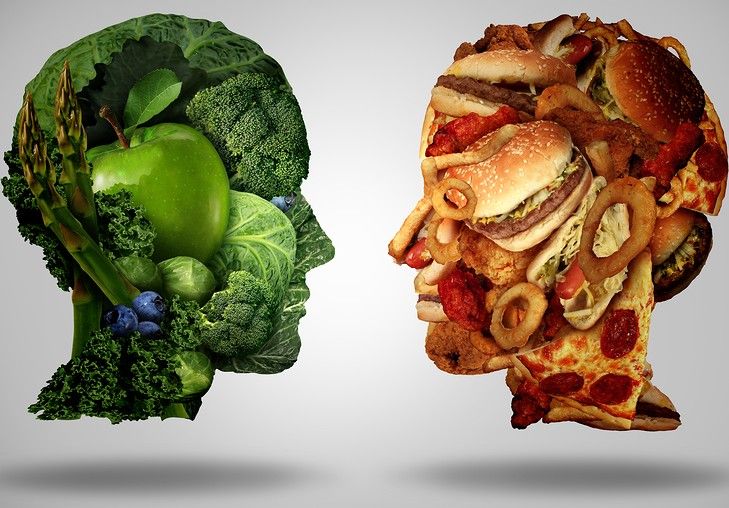The Fundamental Importance of Real Food