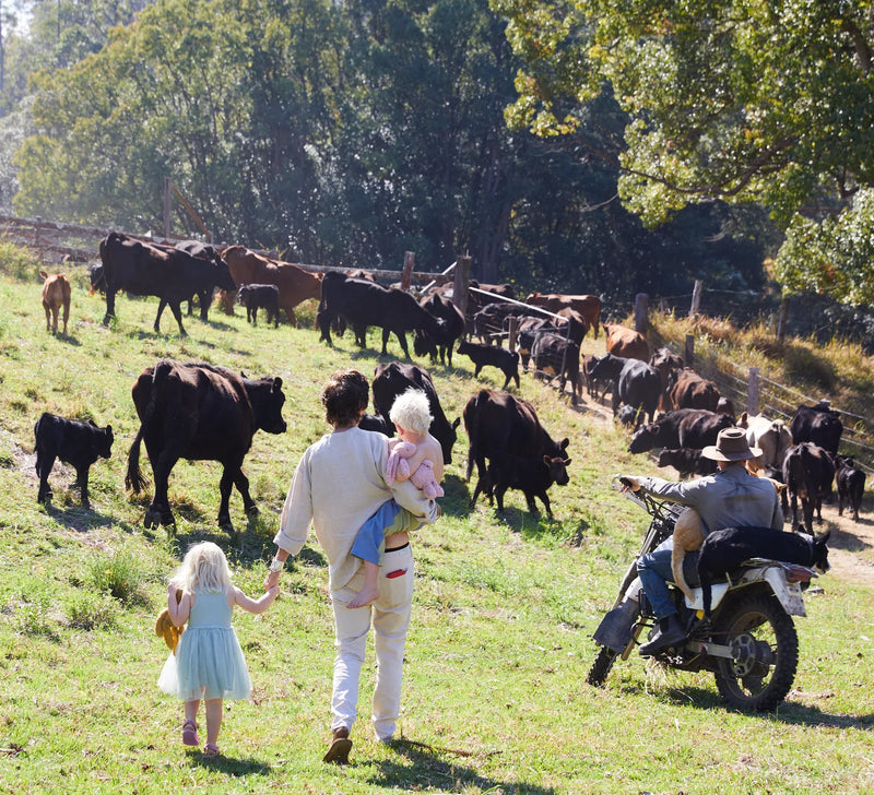 Grandparents and children walking through a field with cows