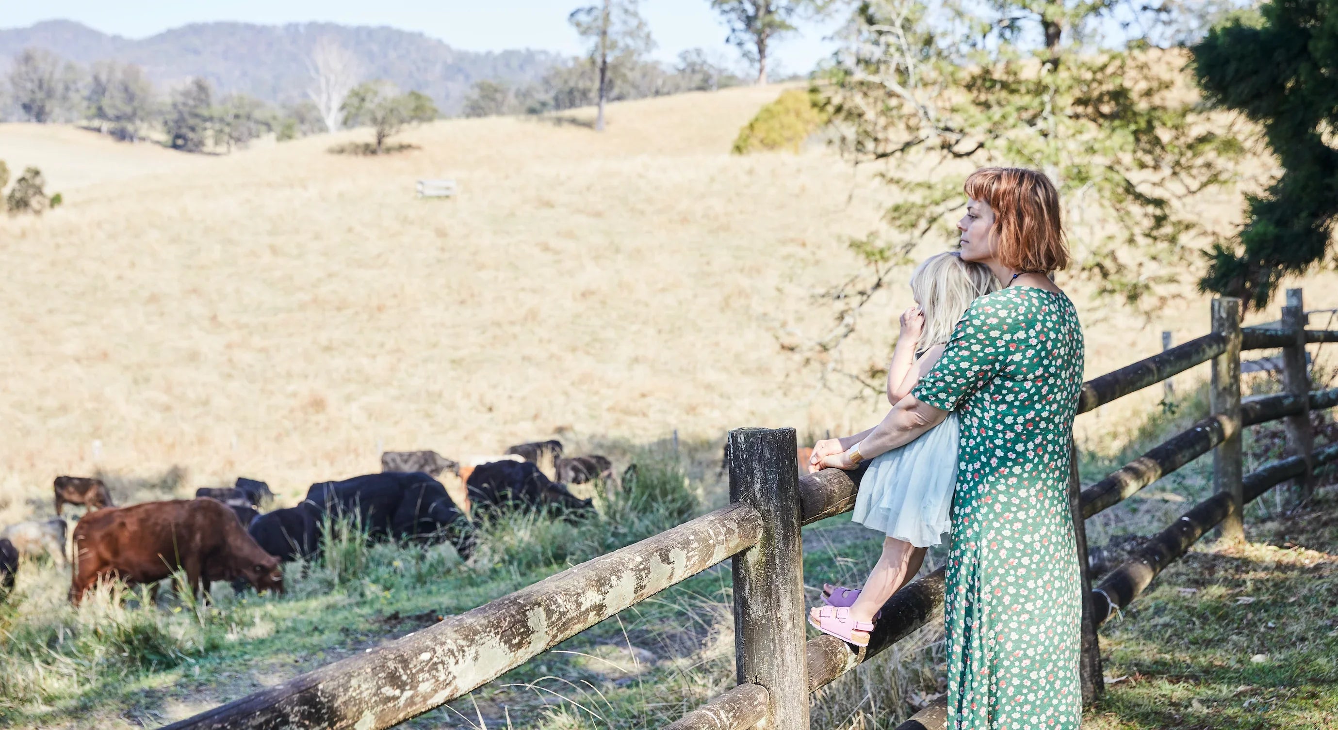 Woman in a green dress standing by a wooden fence with cows in a field.