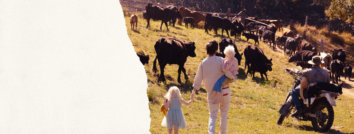 Shop Now The Good Farm Cookbook – The Good Farm Shop